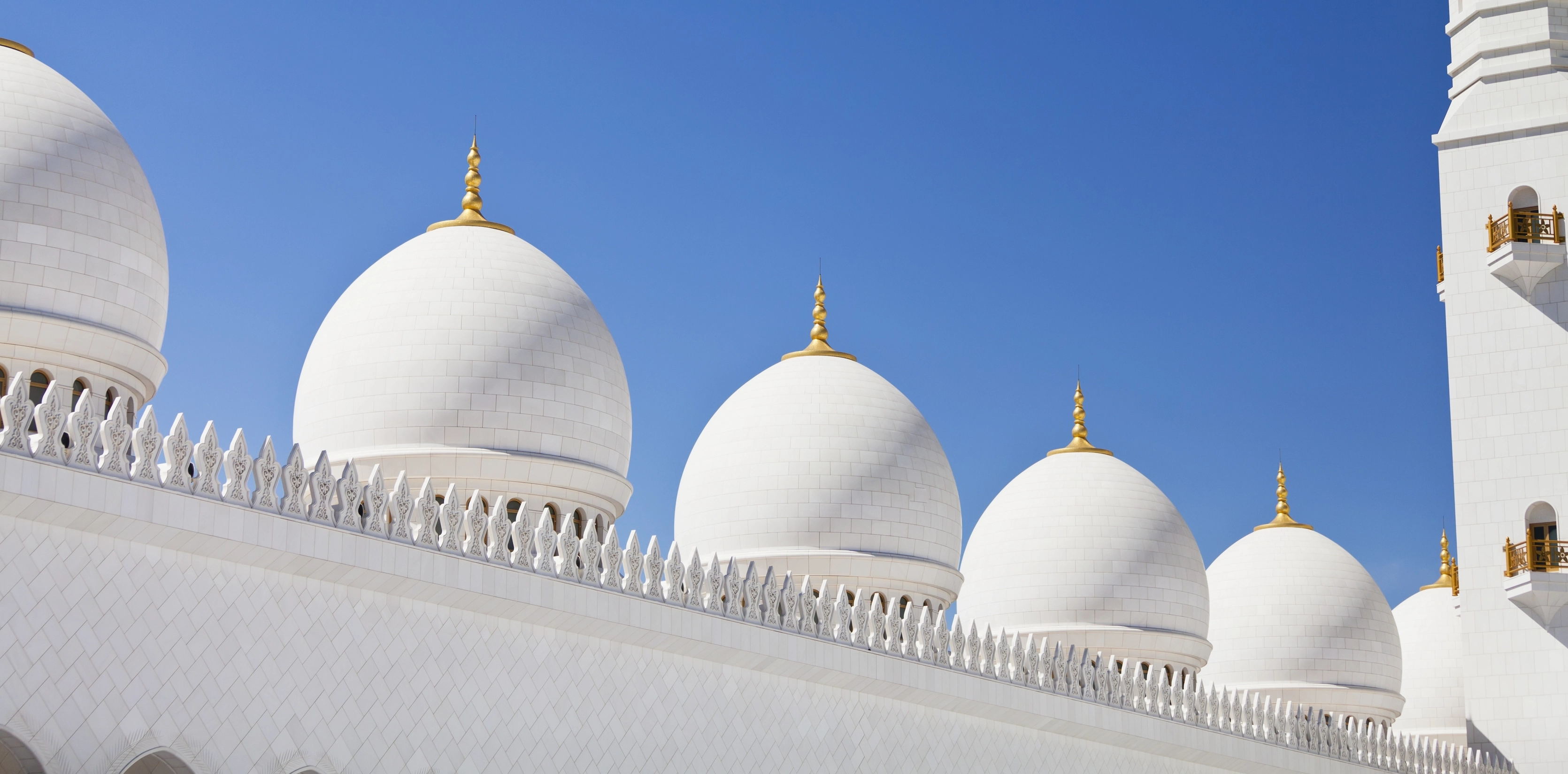 Sheik Zayed Grand Mosque.jpg